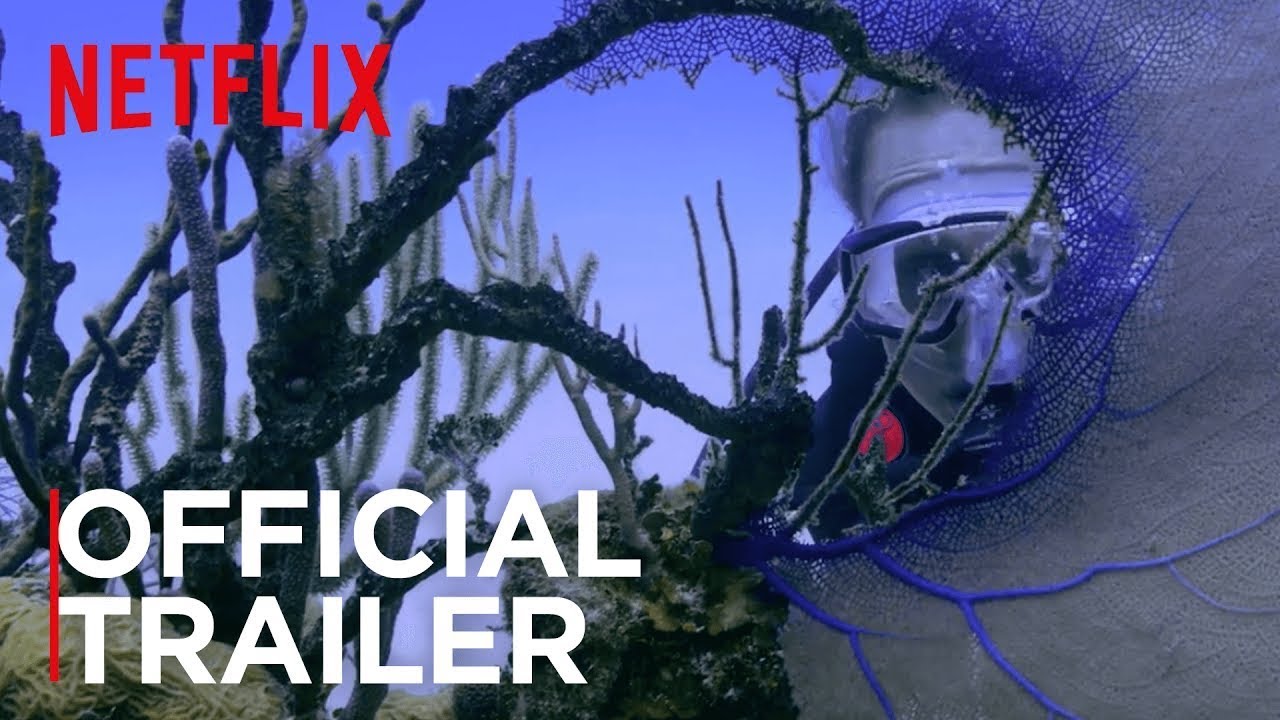 On World Oceans Day, \'Chasing Coral\' trailer shows devastating effects of global warming