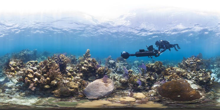 Chasing Coral Producer Jill Ahrens Gets Climate Skeptics and Film Critics Buzzing